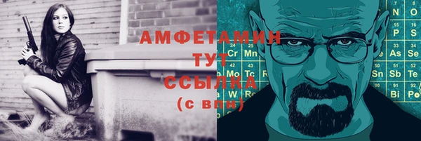 прущие грибы Рославль