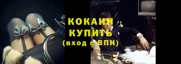 прущие грибы Рославль