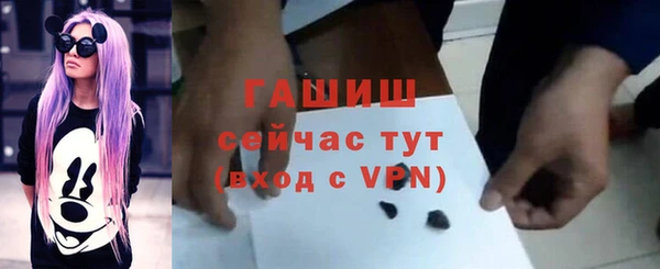 прущие грибы Рославль