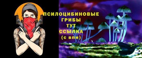ешки Россошь
