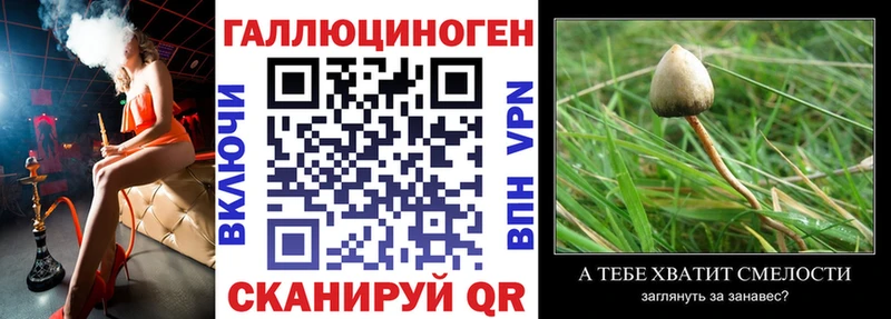 Псилоцибиновые грибы мицелий  Беслан 